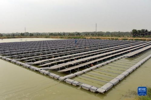 孟加拉國首個水上漂浮太陽能光伏發(fā)電站 綠色能源革新與技術服務新篇章